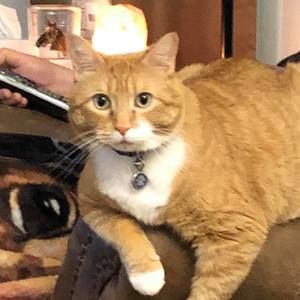 Meet your Posher, Sharlene